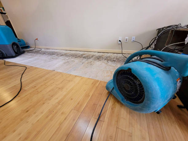 Professional Water Removal technician working in Jacksonville, OH